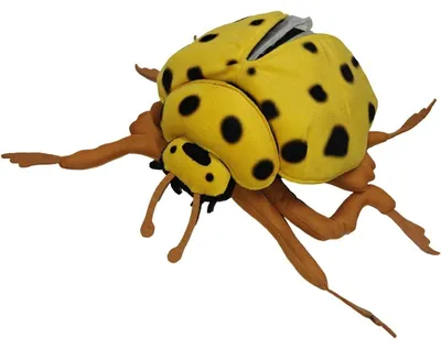 Imagen del producto de Peluche mariquita - Amarillo - 27 x 21 x 13 cm - Animal simulado