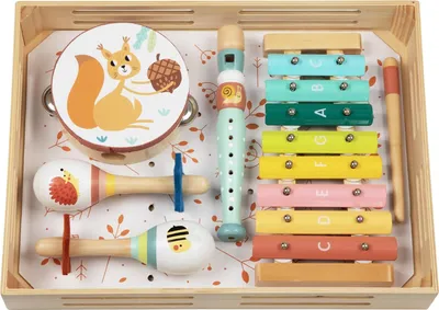 A wooden tray filled with a set of children's musical instruments, including a tambourine, two maracas, a recorder, and a xylophone with mallets.
