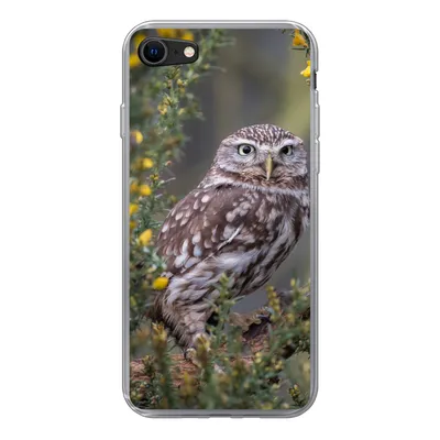 Produktbild von MuchoWow® Handyhülle Schutzhülle Hülle für iPhone 8 Eine kleine braune Eule sitzt da und starrt nach vorne Silikon Softcase Handy Hülle - Schutzhaube