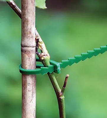 Immagine prodotto di Nastro Garden HG6171-A, per legatura piante, conf. 80 pz, verde, 120 mm