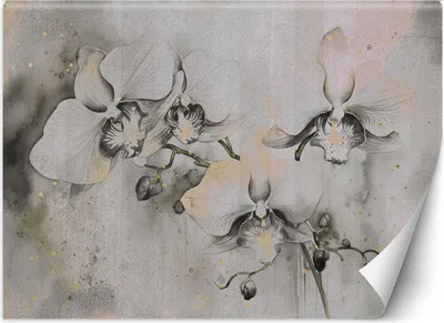 Produktbild von Vlies fototapete Blühende Orchideen Abstraktion 250x175 cm Feeby Grau inkl. Kleber einfache Montage