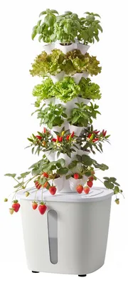 Obrázek produktu pro Hydroponická věž SucceBuy s 30 zásobníky, 6 patry, hydroponický pěstební systém s ovládáním přes aplikaci, 20litrovou nádrží na vodu a čerpadlem, ideální pro bylinky, ovoce a zeleninu