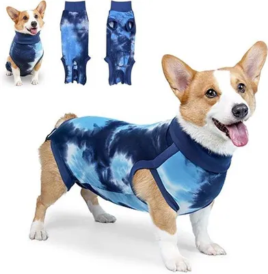 Image de Veste chirurgicale bleue pour chien après une opération