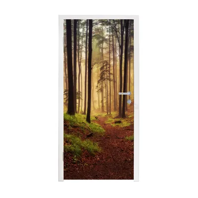 Obrázek produktu pro MuchoWow® Plakát na dveře - Stromy - Příroda - Les - 215x80 cm - Samolepicí fólie na dveře