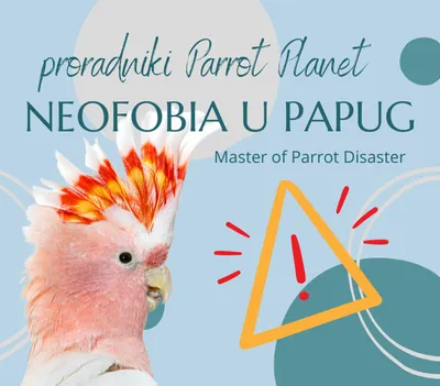 Obrázok produktu pre Sprievodca po ParrotPlanet - NEOFOBIA A NEOFILIA - Sprievodca pre začiatočníkov po ParrotPlanet