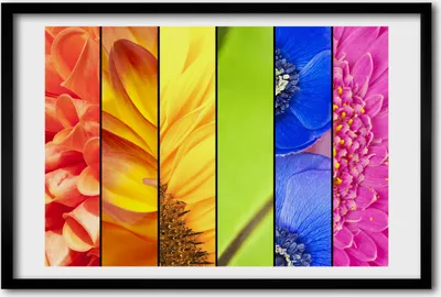 Produktbild von Bild 60x40 MDF-Rahmen, Wandkunst Farbenfrohe Blumen