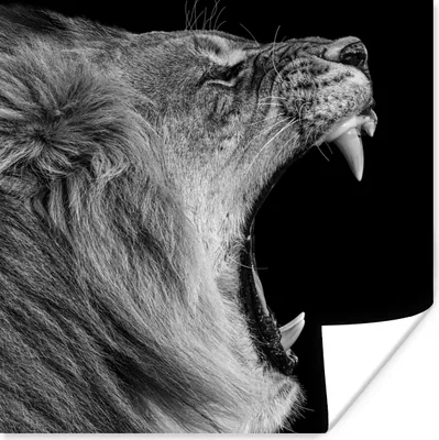 Produktbild von MuchoWow® Poster Tiere - Löwe - Schwarz - Weiß - Porträt 50x50 cm - Wohnzimmerdekoration