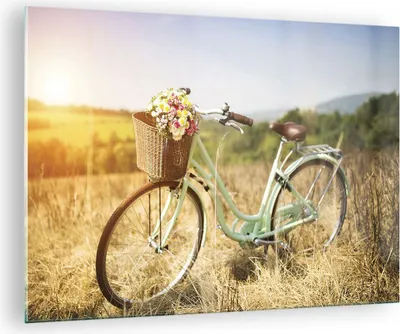 Produktbild von Bilder auf glas - Einteilig - Fahrrad Wiese Blumen - 70x50cm - Glasbilder - Wandbilder - Bilder - zum Aufhängen bereit - Wanddekoration aus Glas - Glas Bilder - Wandbild auf Glas - GAA70x50-4206