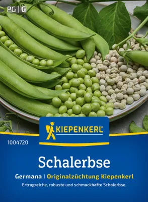 Artikelbild 2 von 'Schalerbse Germana' aus der Kategorie Schalerbsensamen
