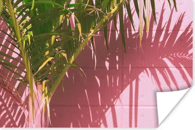 Produktbild von MuchoWow® Poster Pflanze - Sommer - Tropisch - Rosa 90x60 cm - Schlafzimmer