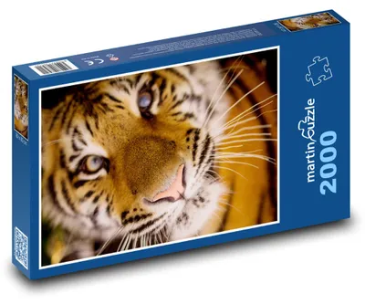 Obrázek produktu pro martinpuzzle - Puzzle 2000 - Tygr - vousky, masožravec