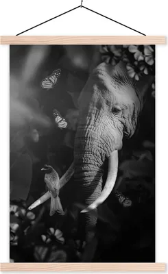 Produktbild von MuchoWow® Textilposter Porträt eines Elefanten und eines Vogels im Dschungel - schwarz und weiß 120x180 cm mit holzfarbenen Rahmen - Textil-Plakat