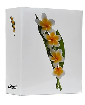 Produktbild von VMC ALBUM für 304 Fotos 10x15 cm. keine Beschreibung WHITE FLOWER weiss