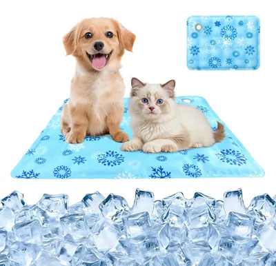 Kühlmatte für Hunde & Katzen, M (40x50 cm), wasserdicht