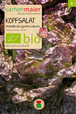 Produktbild von Kopfsalat Merveille des quatre saisons - Saatgut für zirka 100 Pflanzen