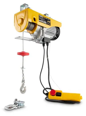 Image de Palan électrique 1050 W 300/600 Kg