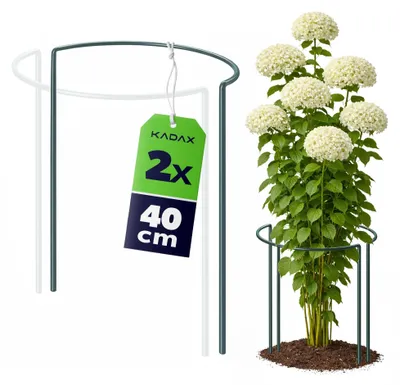 Image de Tuteur pour plantes de jardin - Tuteur semi-circulaire pour plantes vivaces/pivoines - 40 cm - 2 pièces - Vert clair