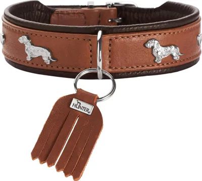 Produktbild von Hunter Teckel-Halsband München