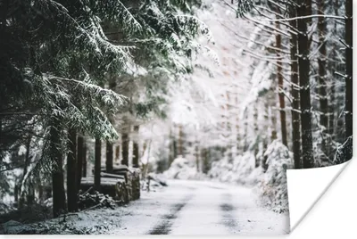 Produktbild von MuchoWow® Poster Winterlandschaft inmitten eines Waldes 120x80 cm - Bilder