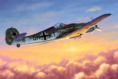 Immagine prodotto di Hobby Boss Focke-Wulf FW190D-10 1:48, 81717