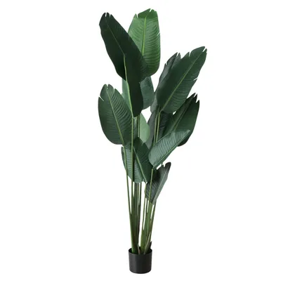 Produktbild von Künstliche Bananenpflanze, H. 185 cm