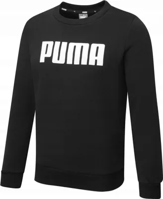 Obrázek produktu pro Mikiny Puma 84759501