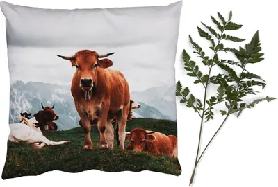Produktbild von MuchoWow® Zierkissen Sofakissen Wohnzimmer Dekokissen 50x50 cm Tiere - Kuh - Berg - Komfort - Sofakissen