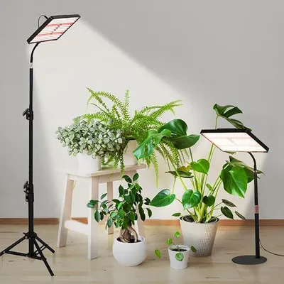 Produktbild von Vollspektrum Sukkulentenbeleuchtung KX-12T-01 – Fernbedienbare LED-Pflanzenlampe mit Timer für Zimmerpflanzen & Gewächshäuser