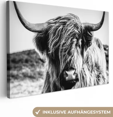 Zdjęcie produktu dla MuchoWow® - Obraz na płótnie - Krowa - Szkocki góral - Czarny - Biały - Zwierzę - Natura - Dzika przyroda, fototapeta, dekoracja ścienna obrazy salon, 90x60cm