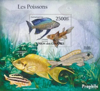 Produktbild von Briefmarken Komoren 2011 Mi Block 623 (kompl. Ausg.) postfrisch Fische