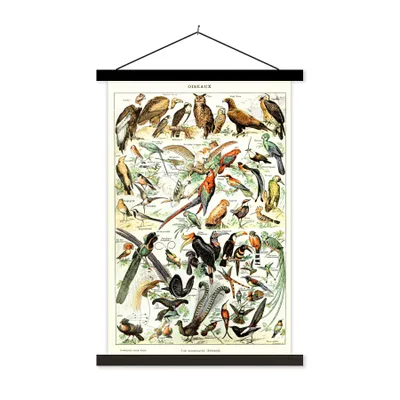 Produktbild von MuchoWow® Textilposter Vogel - Tiere - Natur 120x180 cm mit schwarzem Rahmen - Fotos