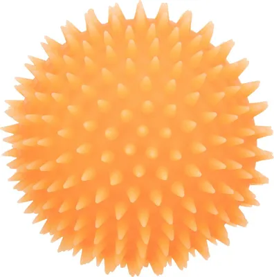 Image de Igelball für Hunde ø 10 cm diverse