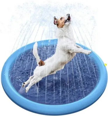 Produktbild von Hundeschwimmbecken Spielzeug 150cm Sommer