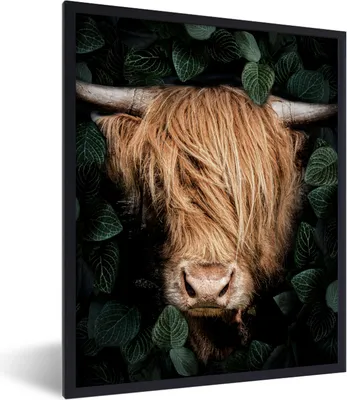 Produktbild von MuchoWow® MuchoWow® Gerahmtes Poster Schottisches Hochlandrind - Pflanzen - Kuh - Porträt - Dschungel 30x40 cm - Poster mit zchwarzem Bilderrahmen - Wanddeko - Kunstdrucke