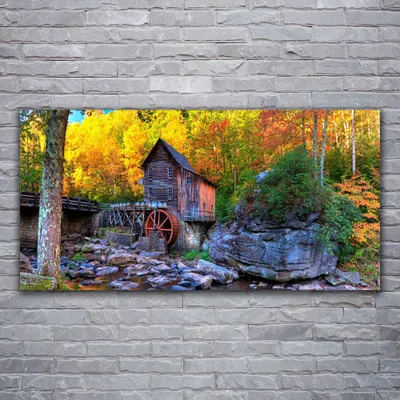 Produktbild von Glasbilder 120x60 Wandbild Druck auf Glas Wald Steine Natur