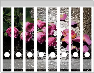 Produktbild von Wallario Ordnerrücken Sticker, selbstklebend für schmale Ordner, 8 Stück, Motiv Pinke Rosen mit Wassertropfen