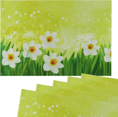 Produktbild von Tischsets Platzsets MOTIV Ostern Osterglocken Blumen 6er