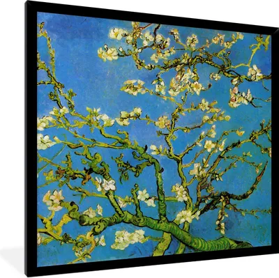 Produktbild von MuchoWow® Gerahmtes Poster Mandelblüte - Vincent van Gogh 40x40 cm - Poster mit Schwarzem Bilderrahmen Wandposter Rahmen Foto Bilder - Mit Rahmen - Wanddekoration Schlafzimmer