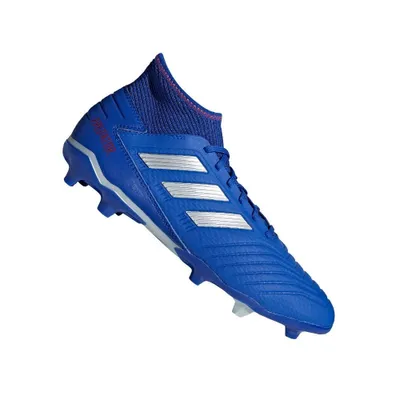 Obrázek produktu pro Adidas Predator 19.3 Fg Boblue/Silvmt/Actred 42.5