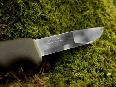 Productafbeelding van Morakniv Bushcraft Forest
