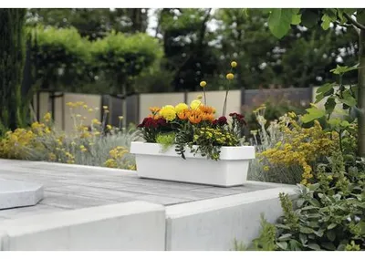 Produktbild von Blumenkasten geli VIVA Kunststoff 98 x 21,2 x 17,1 cm weiß inkl. Erdbewässerungsystem
