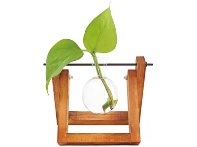 Immagine prodotto di Vaso in vetro idro Lilly con supporto in legno Vaso Scion a libera installazione