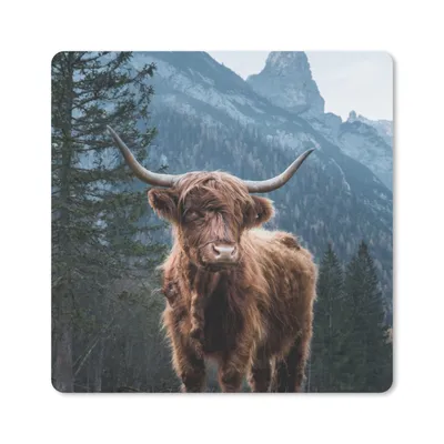 Produktbild von MuchoWow® Mauspad Mousepad Kuh - Schottischer Highlander - Natur 20x20 cm - Mousepads - Maus Mat - Pad - Mausunterlage - Desk Mat - Bureauartikeln