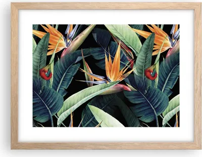 Produktbild von Gerahmtes Poster - Rahmen in heller Eiche - Pflanze Tropisch Blume - 40x30 cm - Wand Bild - Wanddeko - Wandbilder - Kunstposter - Wandposter - Bilderrahmen - Bilder - Kunstdruck - P2NAA40x30-5093