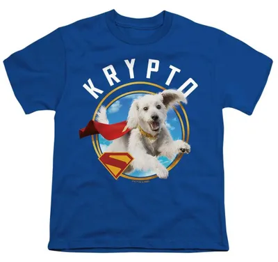Produktbild von Superman - "2025" T-Shirt für Kinder TV36090 (152-158) (Königsblau)