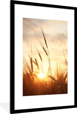 Produktbild von MuchoWow® Gerahmtes Poster Schilf - Gras - Sonnenuntergang - Natur - Horizont 60x90 cm - Poster mit Schwarzem Bilderrahmen Wandposter Rahmen Foto Bilder - Dekoration - Wandposter Wohnzimmer - Hochwertig