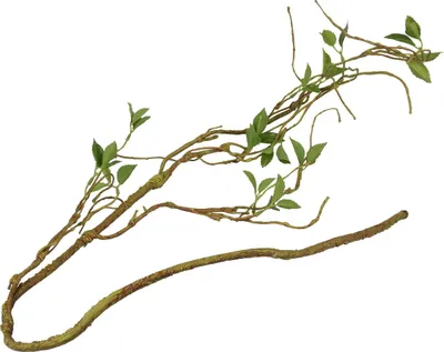 Productafbeelding van Terra Della Kunststof plantentak dun groen 130 cm voor terraria