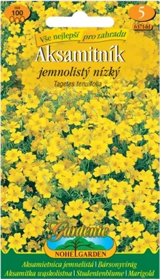 Image de Aksamitum lowum, jaune