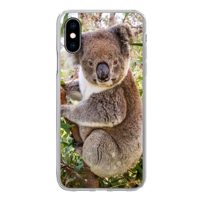 Produktbild von MuchoWow® Handyhülle Schutzhülle Hülle für iPhone X Koala - Baum - Blätter - Kinder - Jungen - Mädchen Silikon Softcase Handy Hülle - Handyhülle