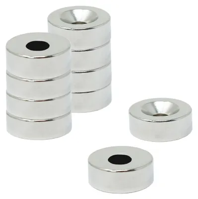 Neodym-Magnete 12x4 mm, 2,5 kg Haftkraft, 10er-Pack